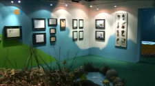 Ana Afonso no Amadora BD